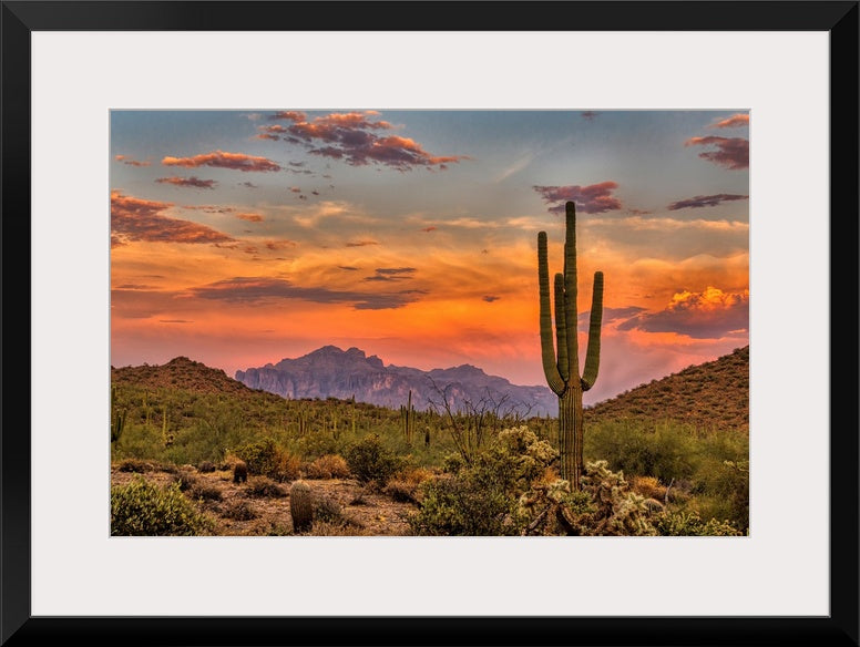 Sonoran Sunset Wall Art