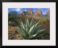 Chisos Agave and the Chisos Mountains Wall Art