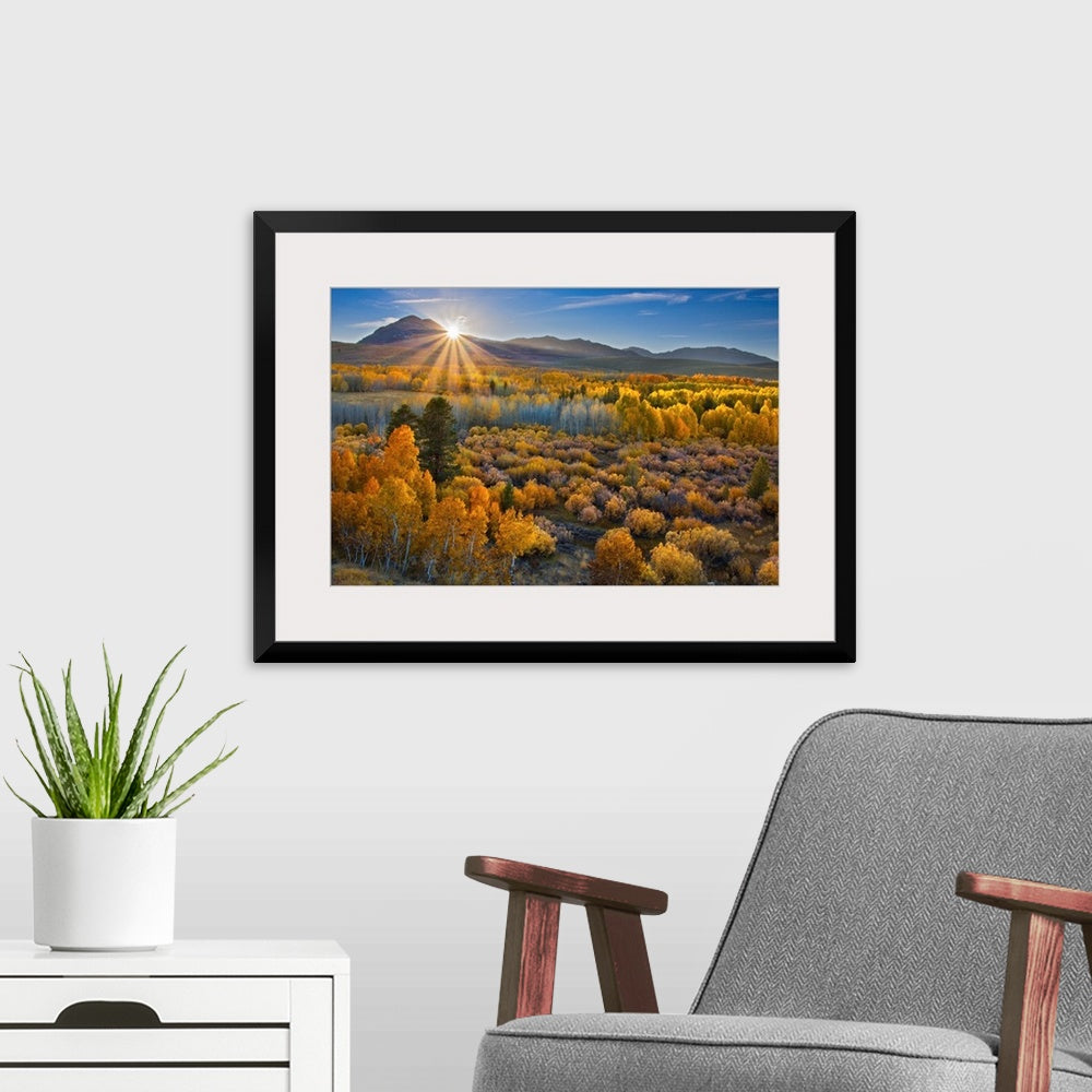 Eastern Sierra II Wall Art