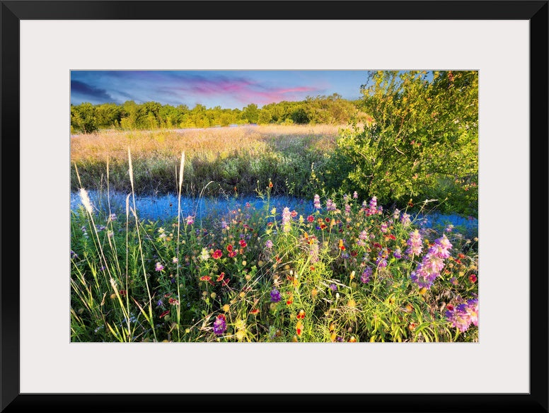 Texas Wildflowers At Sunrise Wall Art