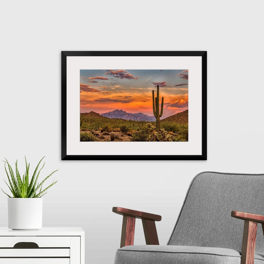 Sonoran Sunset Wall Art