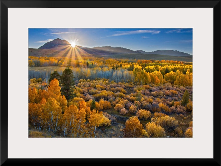 Eastern Sierra II Wall Art