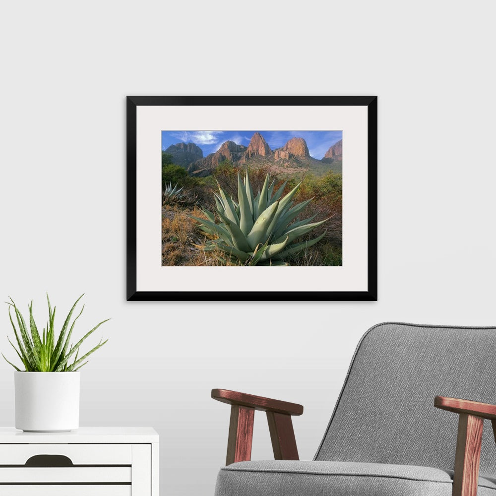 Chisos Agave and the Chisos Mountains Wall Art