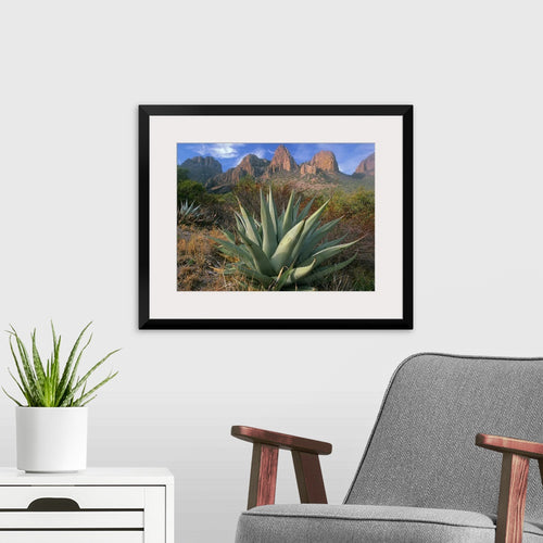 Chisos Agave and the Chisos Mountains Wall Art